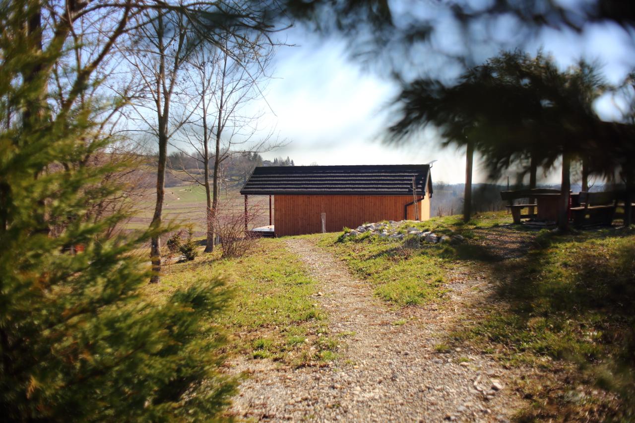 Šumski put koji vodi do drvene kućice