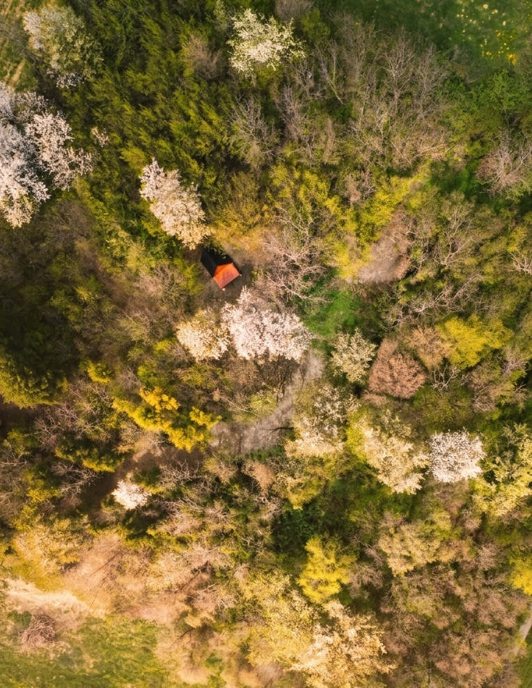 Mala A-frame koliba u privatnoj šumi Duške – dodatni smještaj potpuno uronjen u prirodu