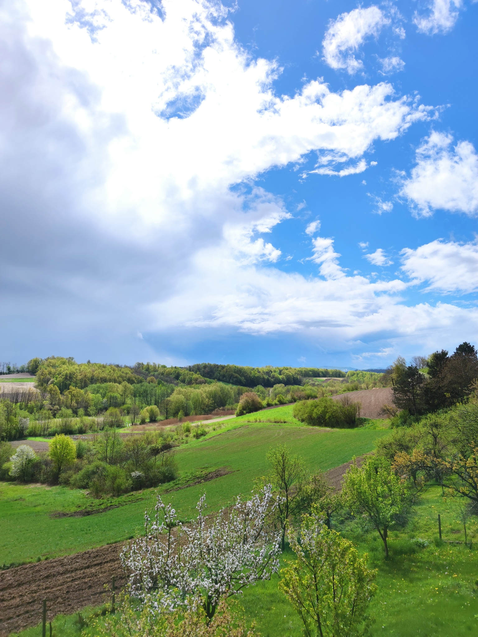 Pogled na zagorske brege u proljeće