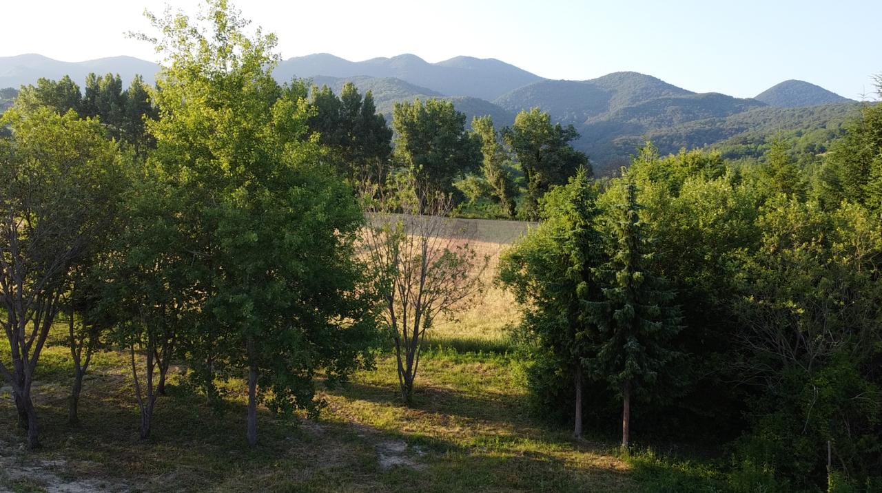 Zeleni proljetni brežuljci pod vedrim nebom