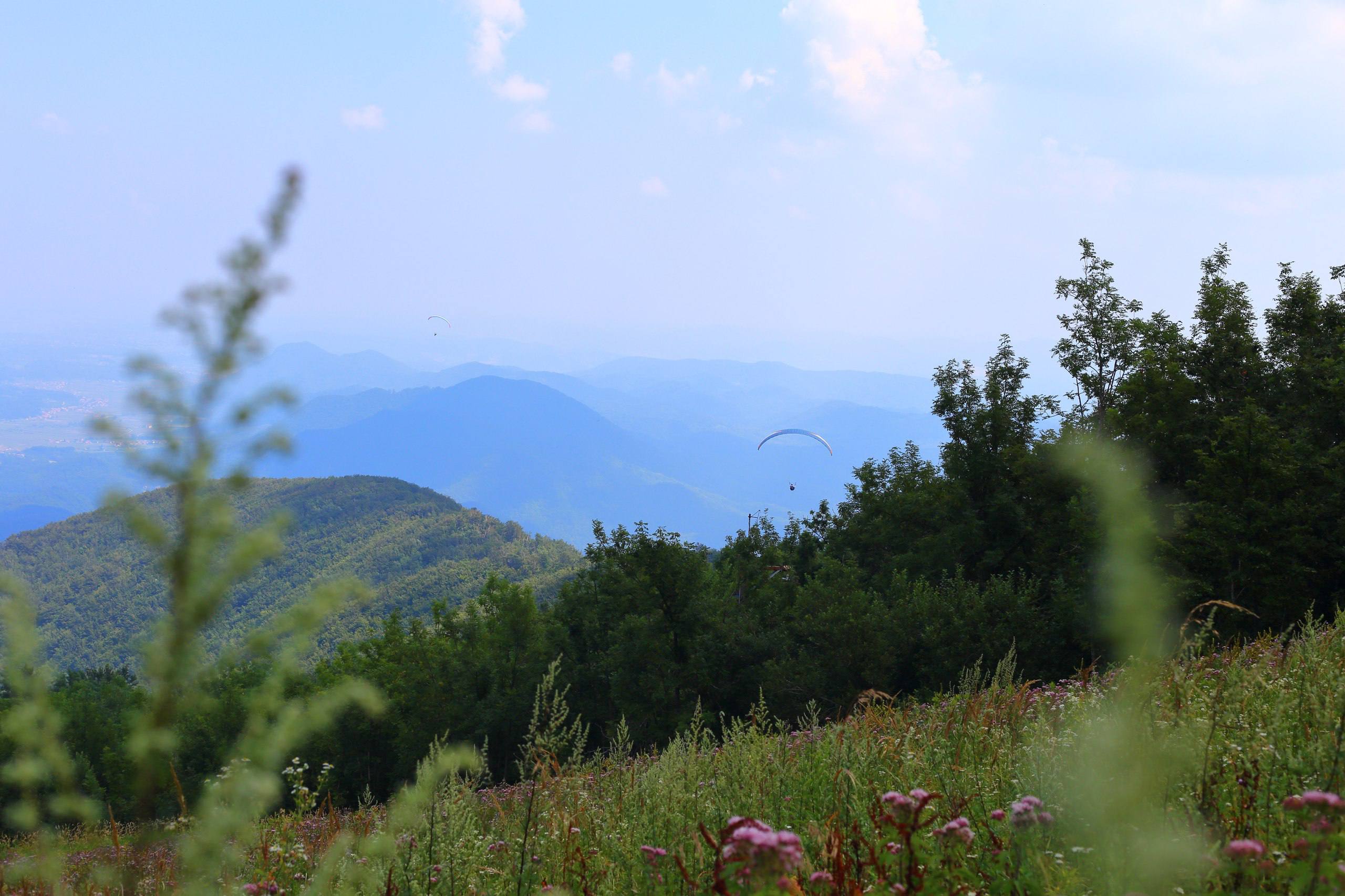 Paragliding above green hills of Northern Croatia