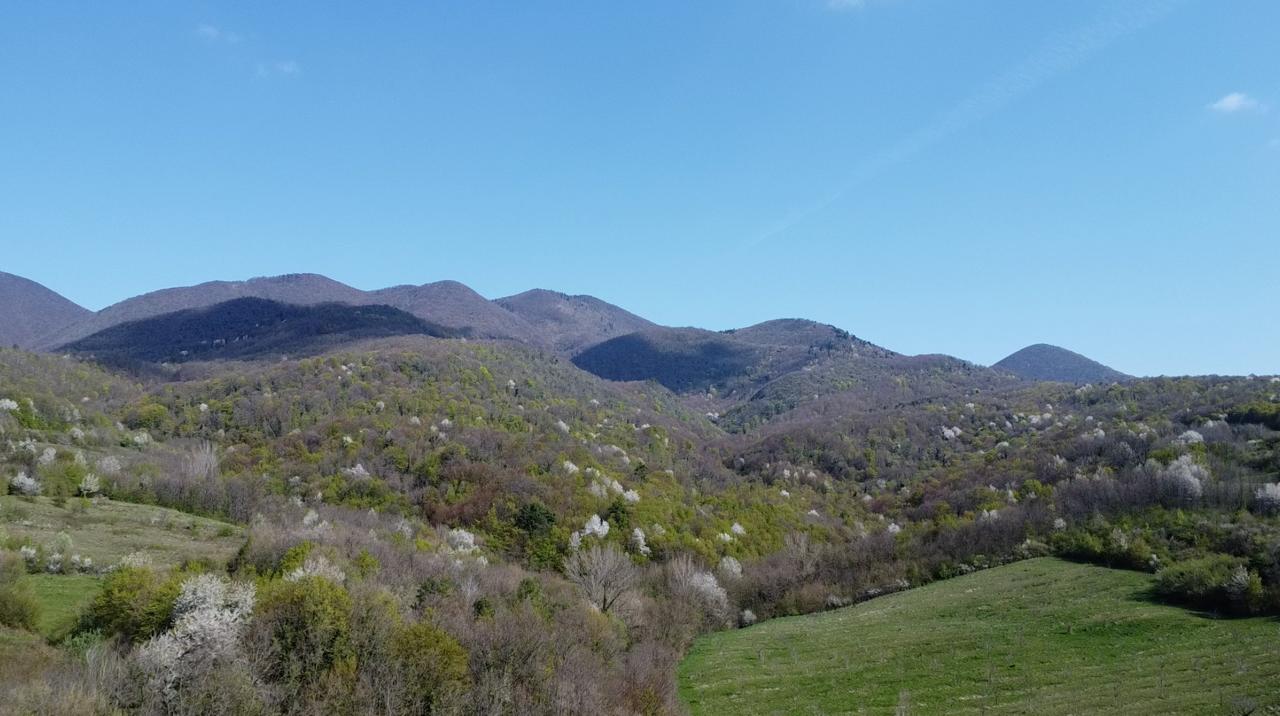 Proljetni brežuljci i šumski krajolik u Sjevernoj Hrvatskoj