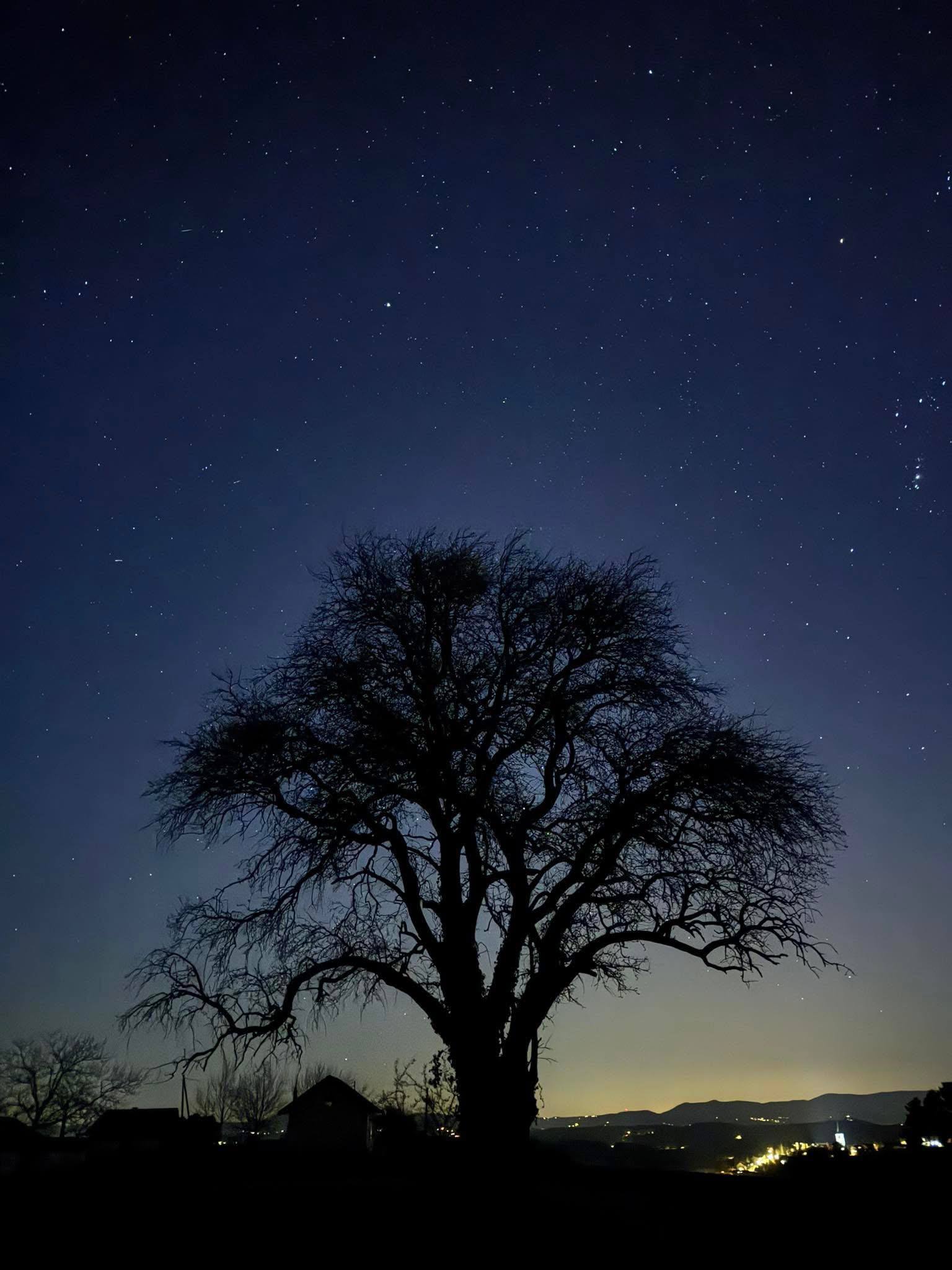 Starry night sky above countryside Croatia